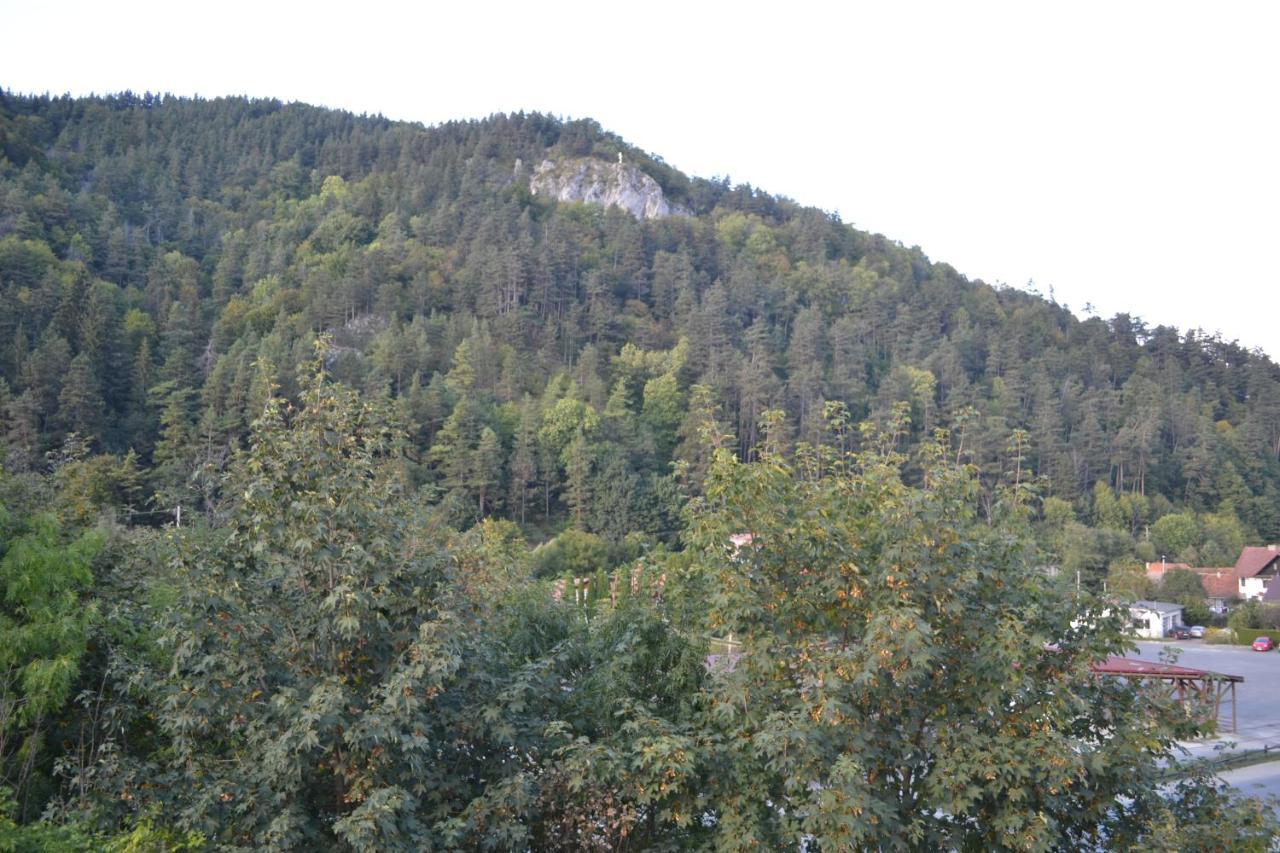 Castle Gate Otel Bran  Dış mekan fotoğraf