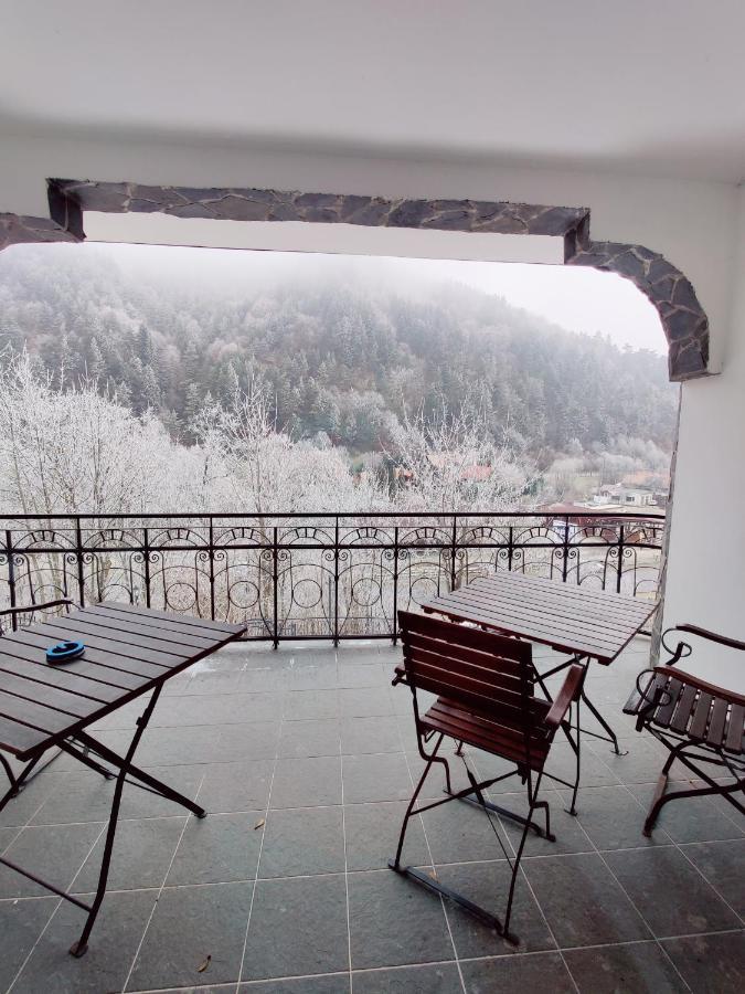 Castle Gate Otel Bran  Dış mekan fotoğraf