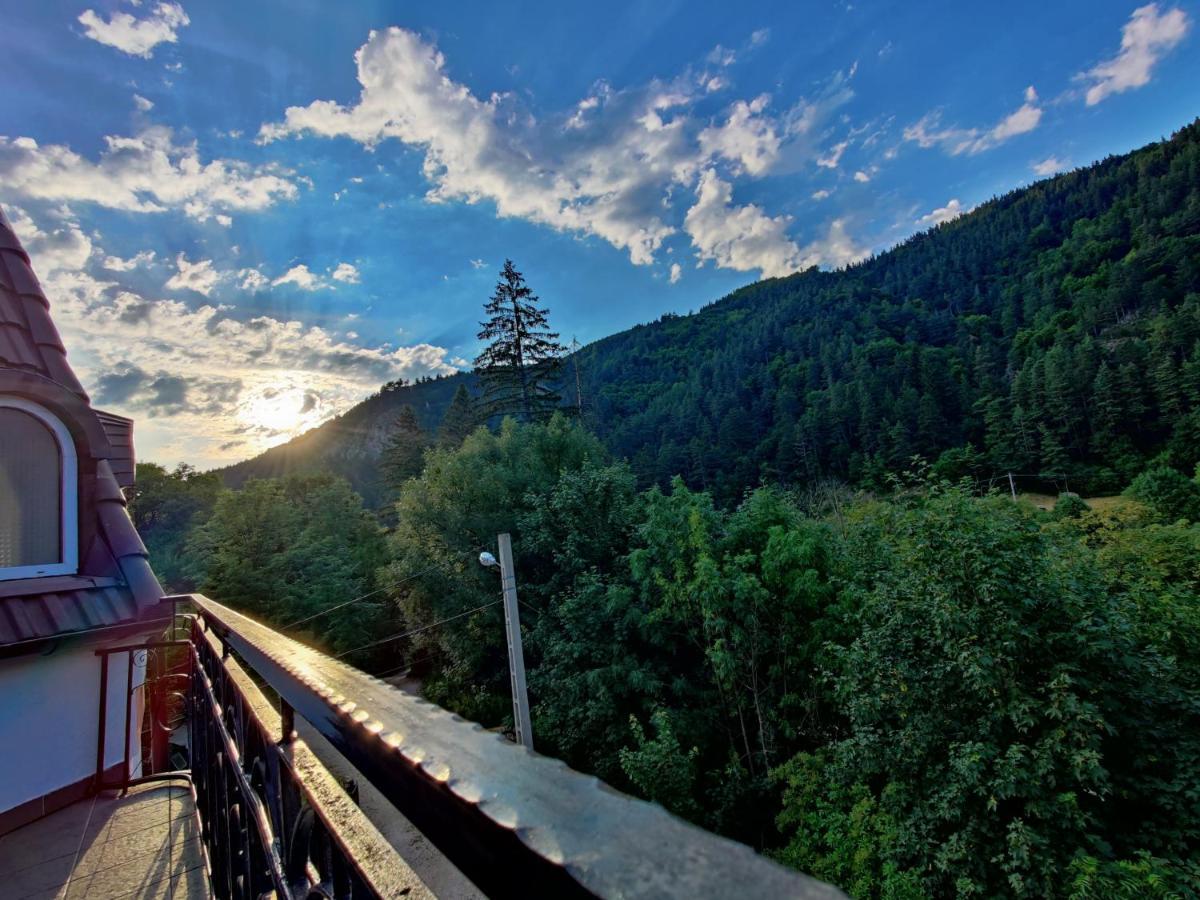 Castle Gate Otel Bran  Dış mekan fotoğraf