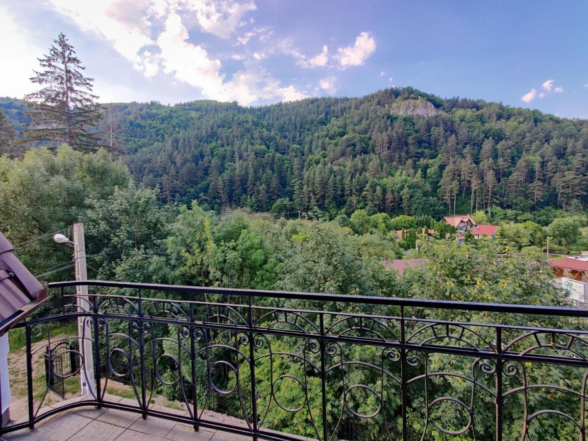 Castle Gate Otel Bran  Dış mekan fotoğraf
